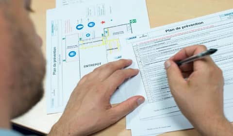 dératisation et désinsectisation